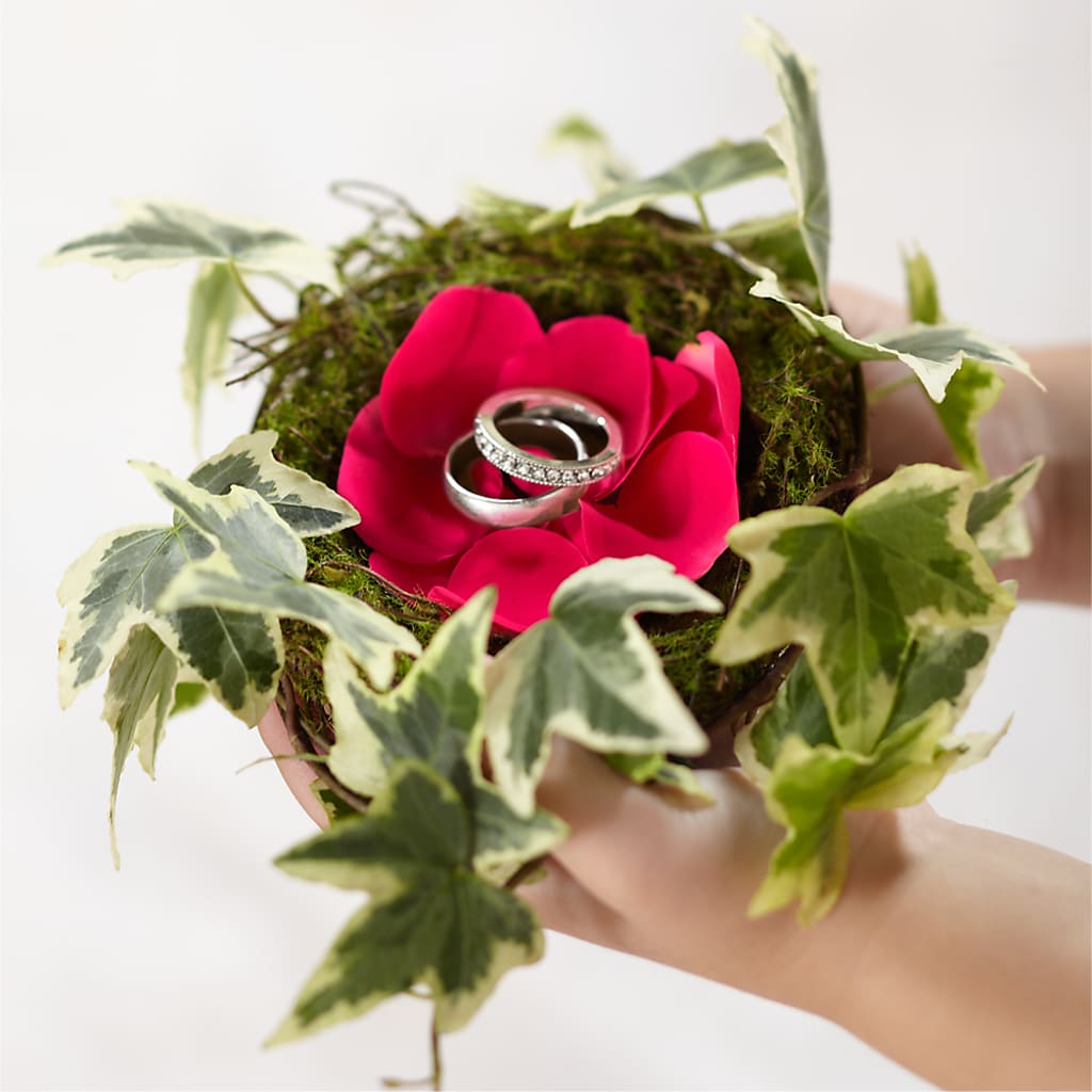 Lila Rose Ring Nest – Latino Flowers, Bensalem PA