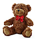 Adorable Plush Bear –  Latino Flowers, Bensalem PA