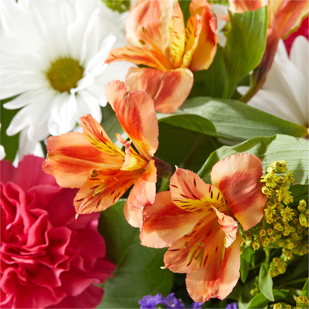 Oopsie Daisy Box Bouquet –  Latino Flowers, Bensalem PA