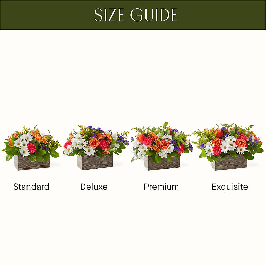 Oopsie Daisy Box Bouquet –  Latino Flowers, Bensalem PA