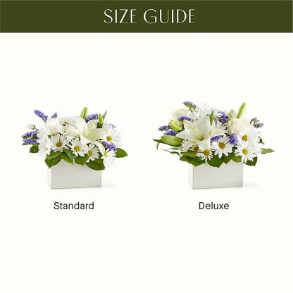Beyond Blue Box Bouquet –  Latino Flowers, Bensalem PA