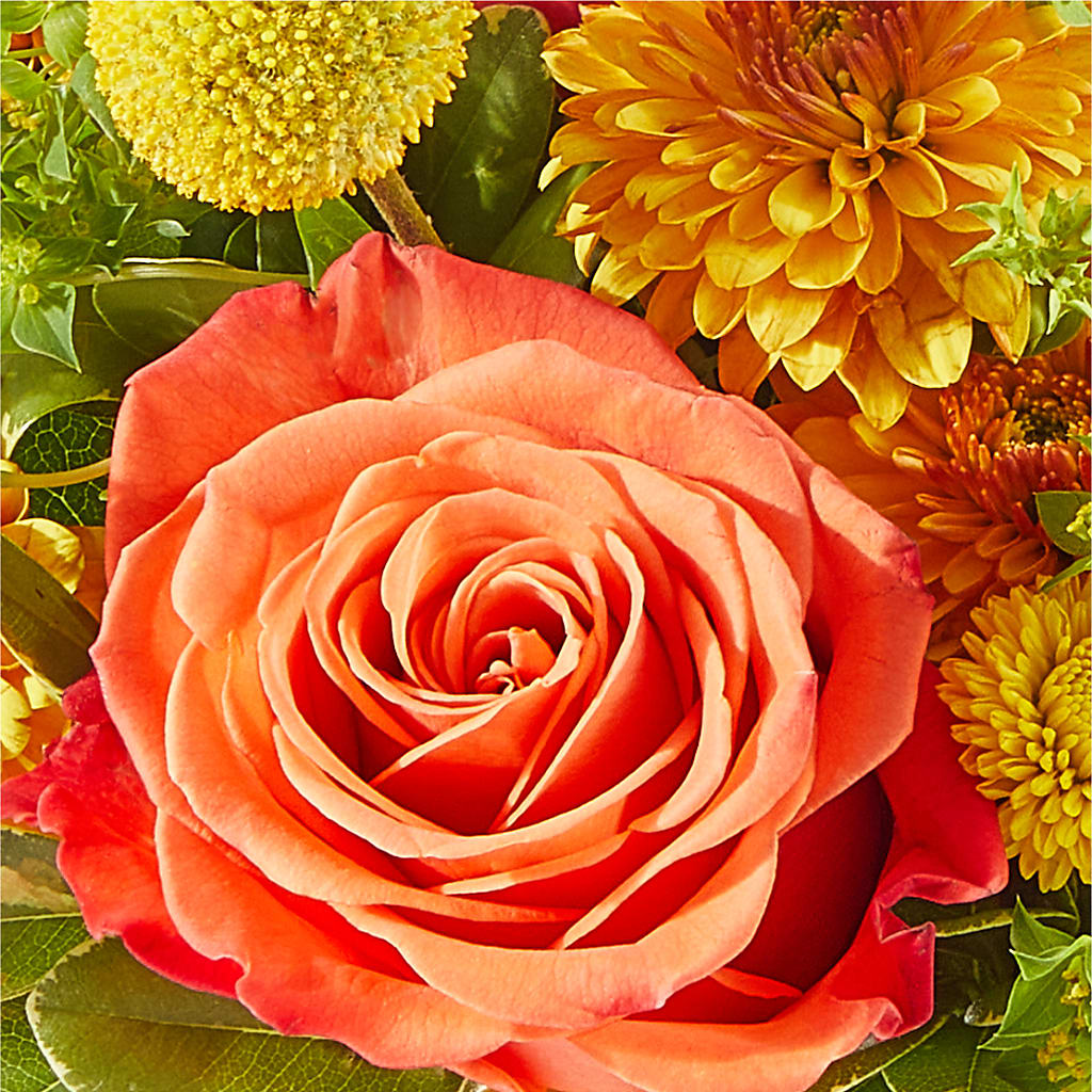 Gourdgeous Pumpkin –  Latino Flowers, Bensalem PA
