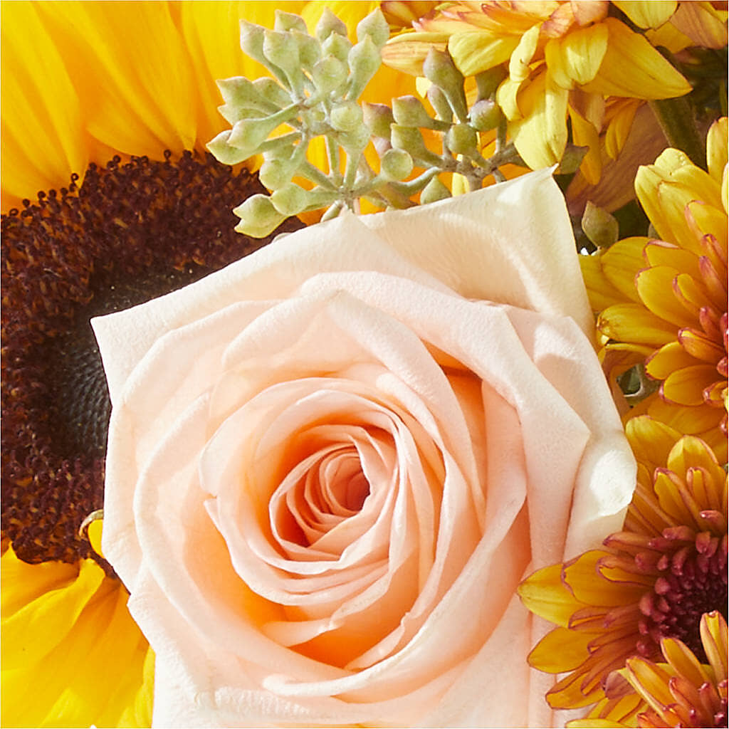 Pumpkin to Talk About Bouquet –  Latino Flowers, Bensalem PA