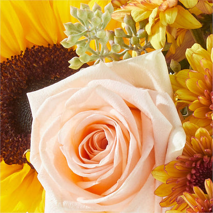 Pumpkin to Talk About Bouquet –  Latino Flowers, Bensalem PA