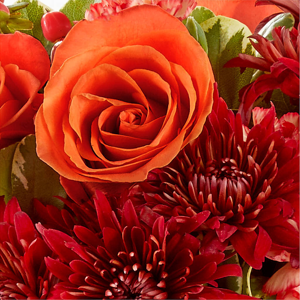 Autumn Air Pumpkin Bouquet –  Latino Flowers, Bensalem PA
