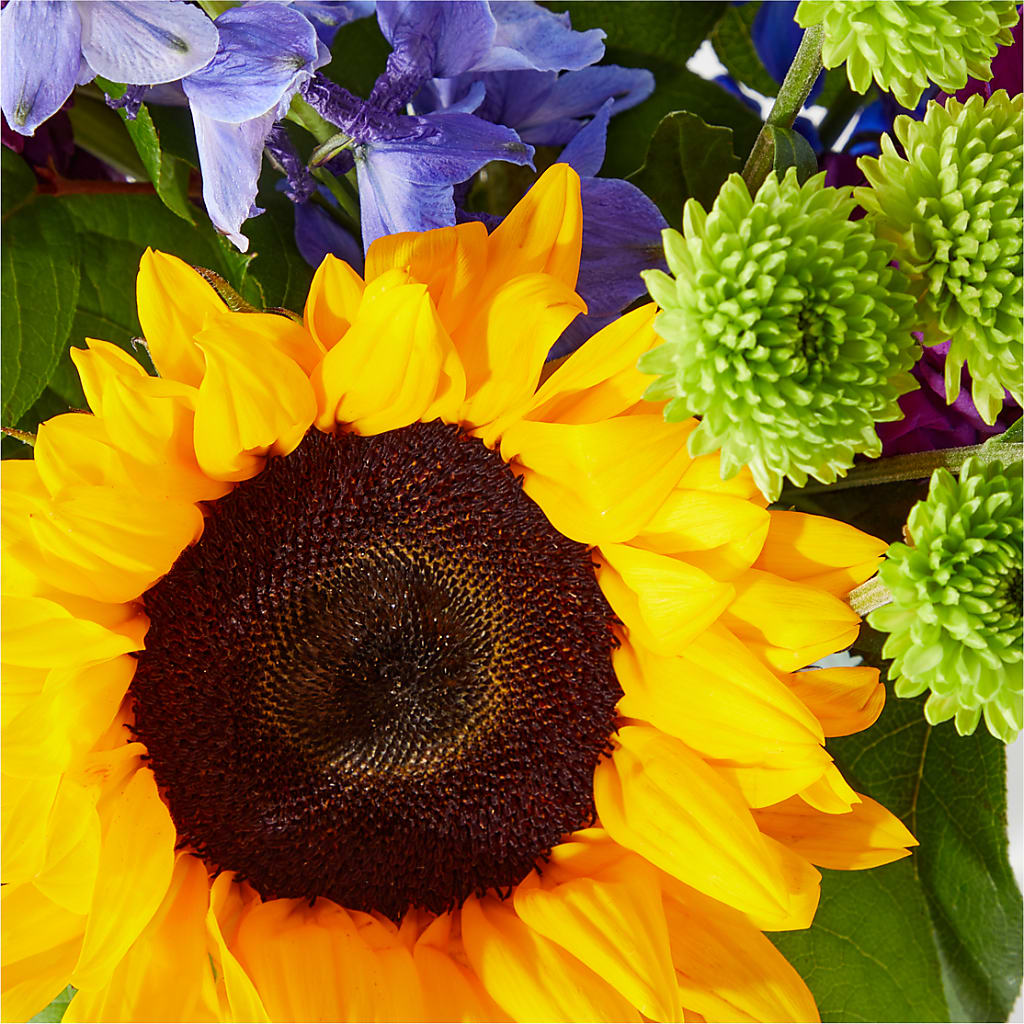 Catching Rays Bouquet –  Latino Flowers, Bensalem PA