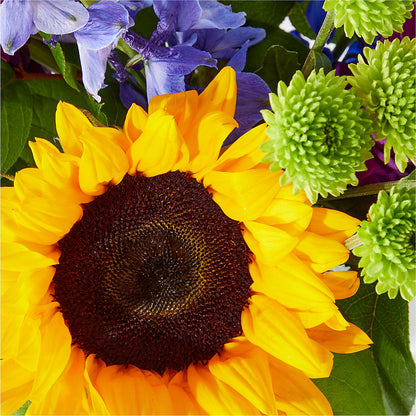 Catching Rays Bouquet –  Latino Flowers, Bensalem PA