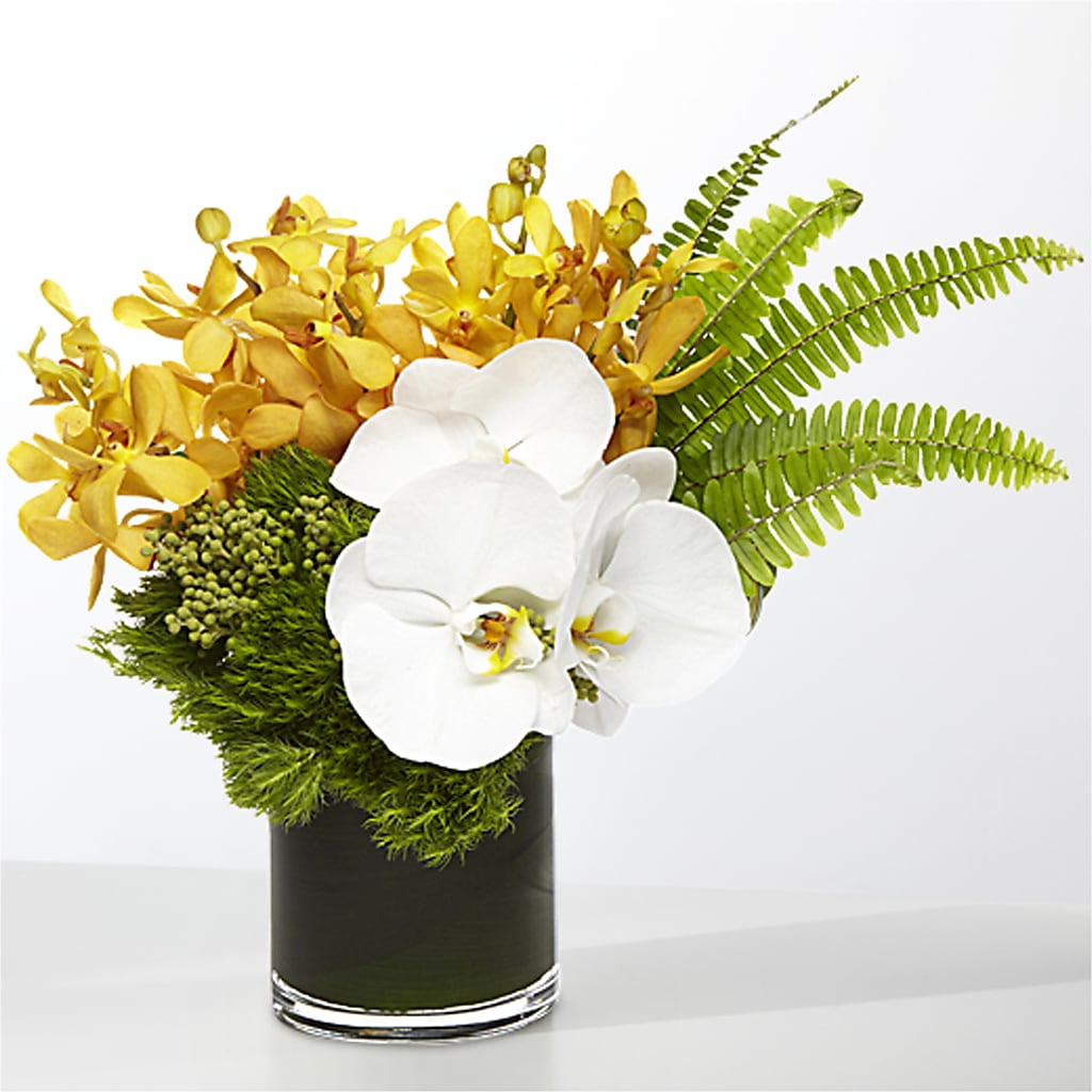 The Tropics –  Latino Flowers, Bensalem PA