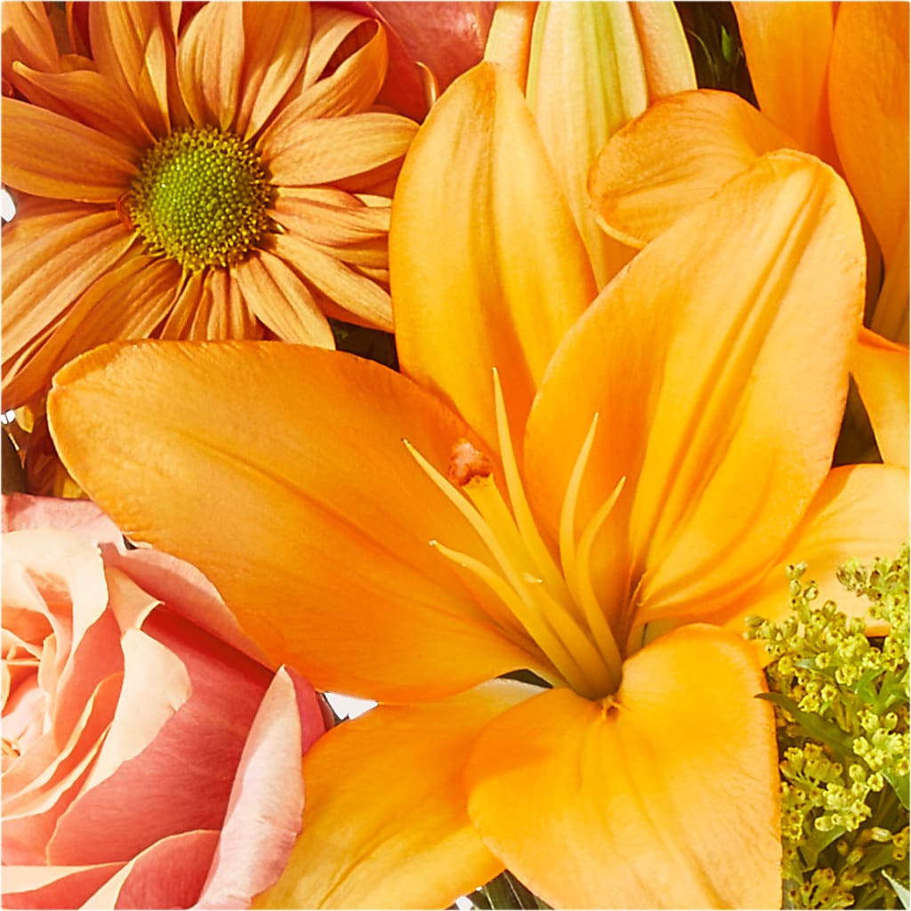 Harvest Hayride Bouquet –  Latino Flowers, Bensalem PA