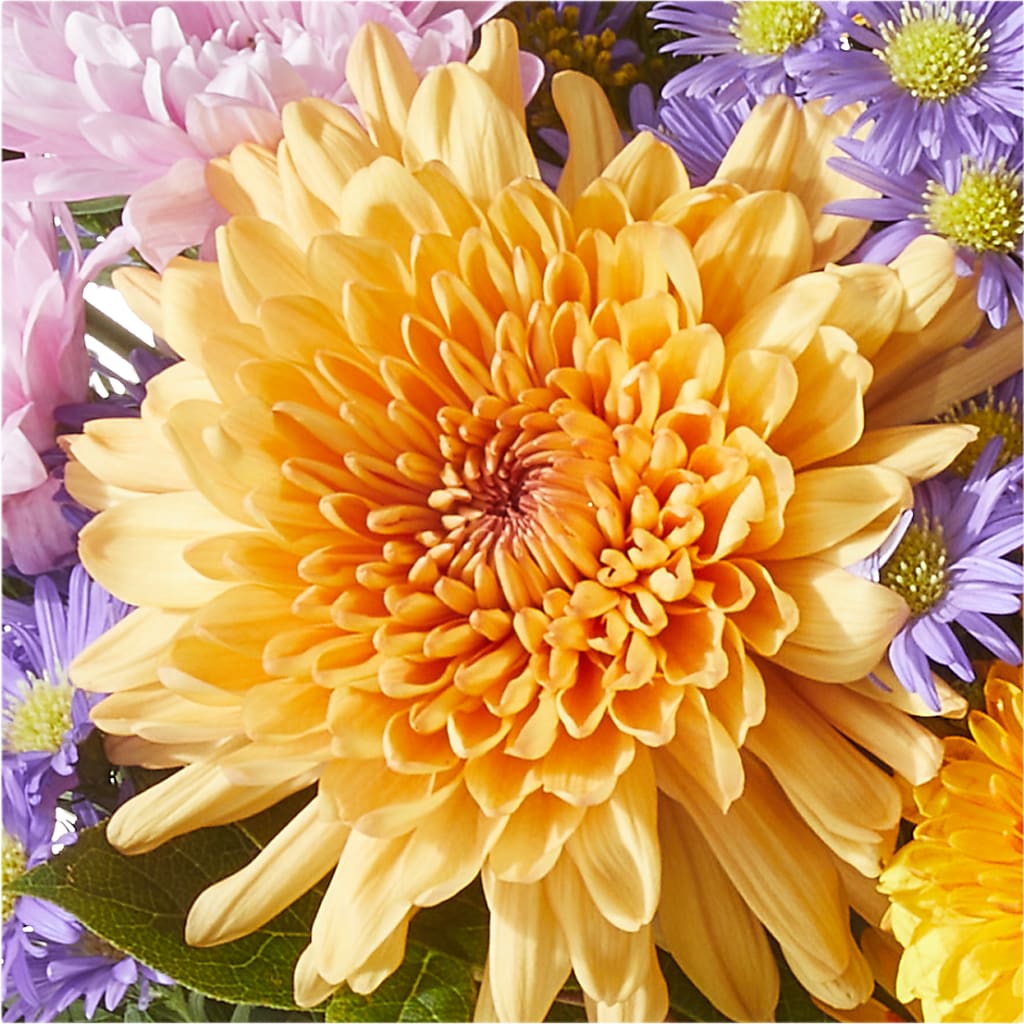 Countryside Bouquet –  Latino Flowers, Bensalem PA