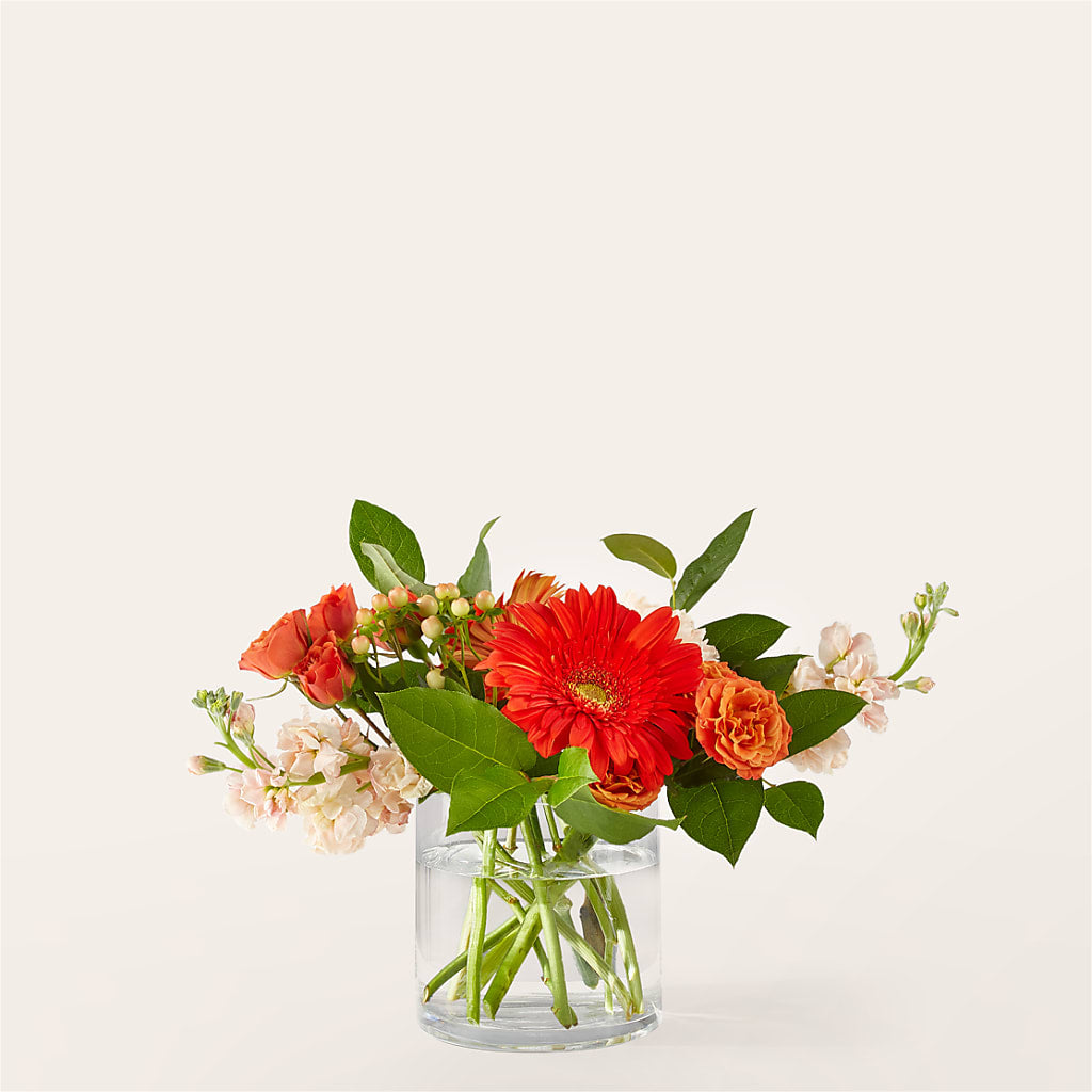 Paloma Please Bouquet