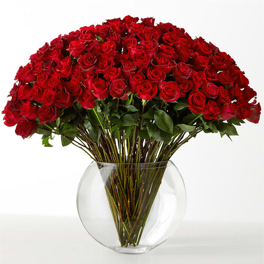 The Idealist –  Latino Flowers, Bensalem PA