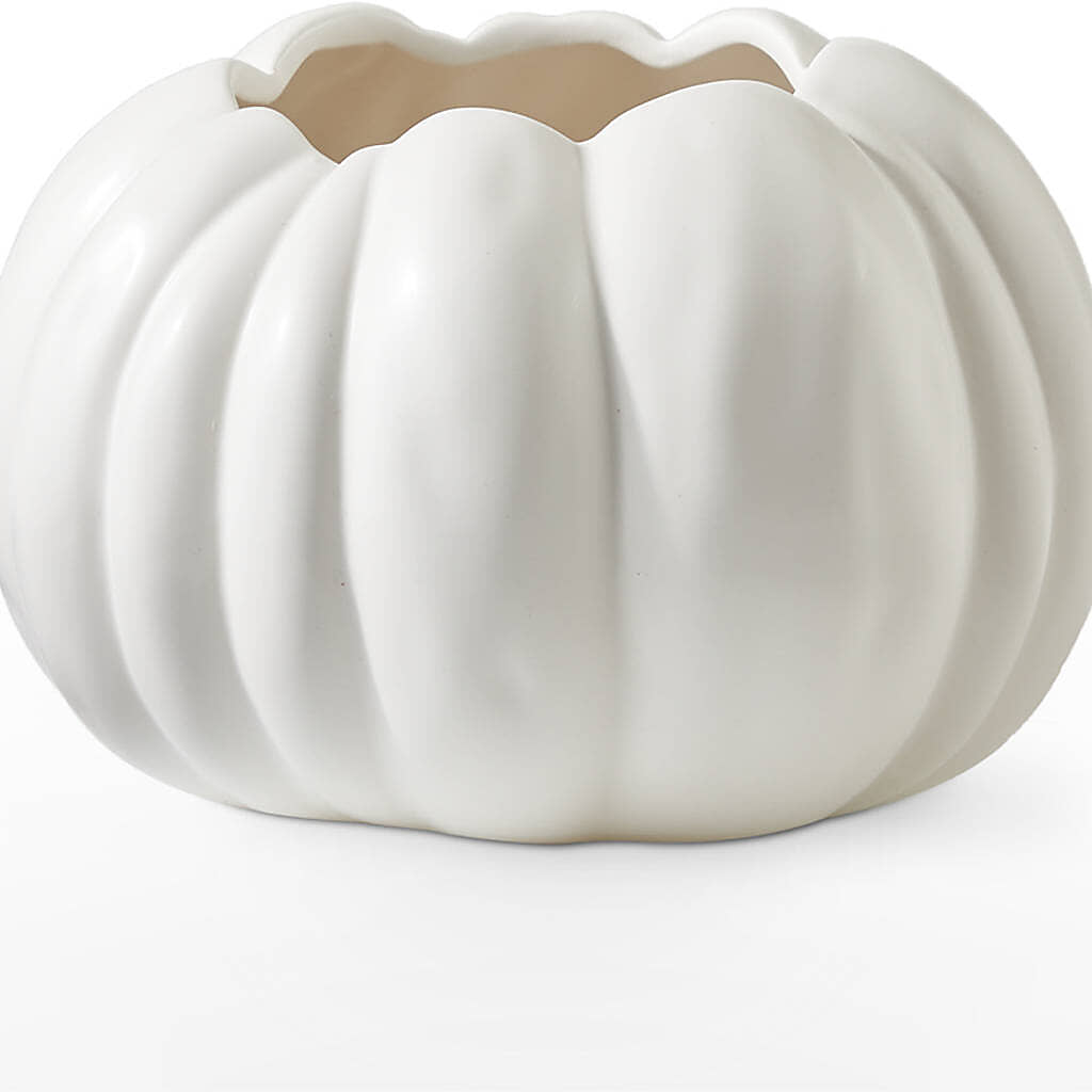 Pumpkin to Talk About Bouquet –  Latino Flowers, Bensalem PA